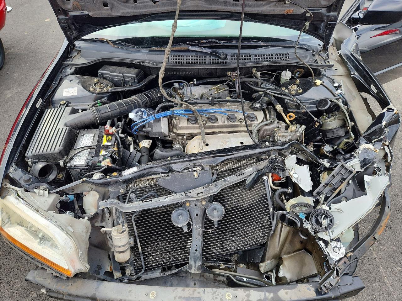1999 HONDA ACCORD LX photo 11
