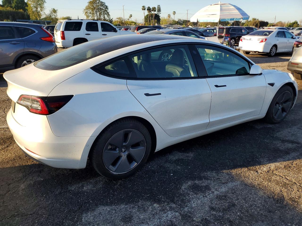2021 TESLA MODEL 3 photo 3