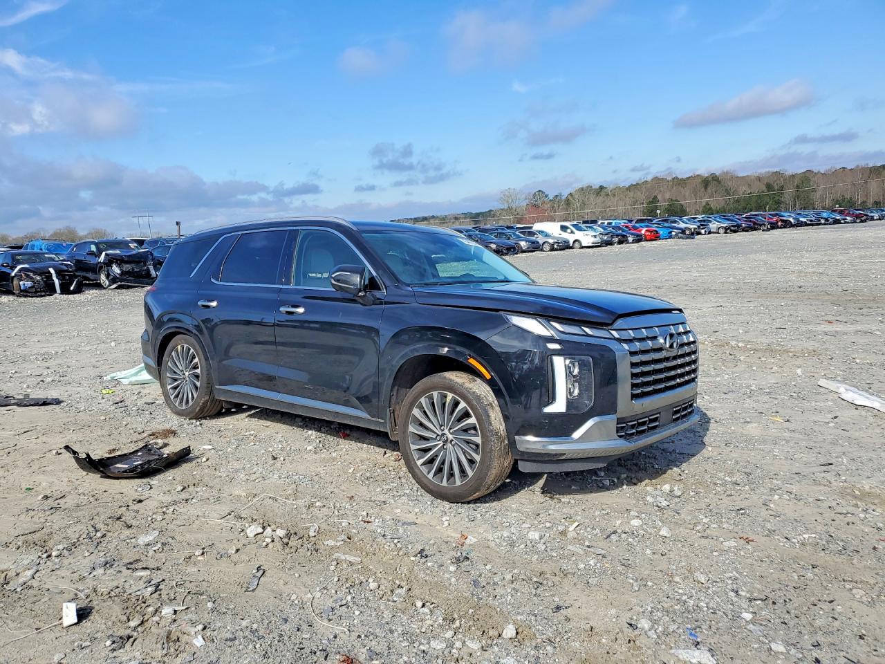 2024 HYUNDAI PALISADE CALLIGRAPHY photo 10