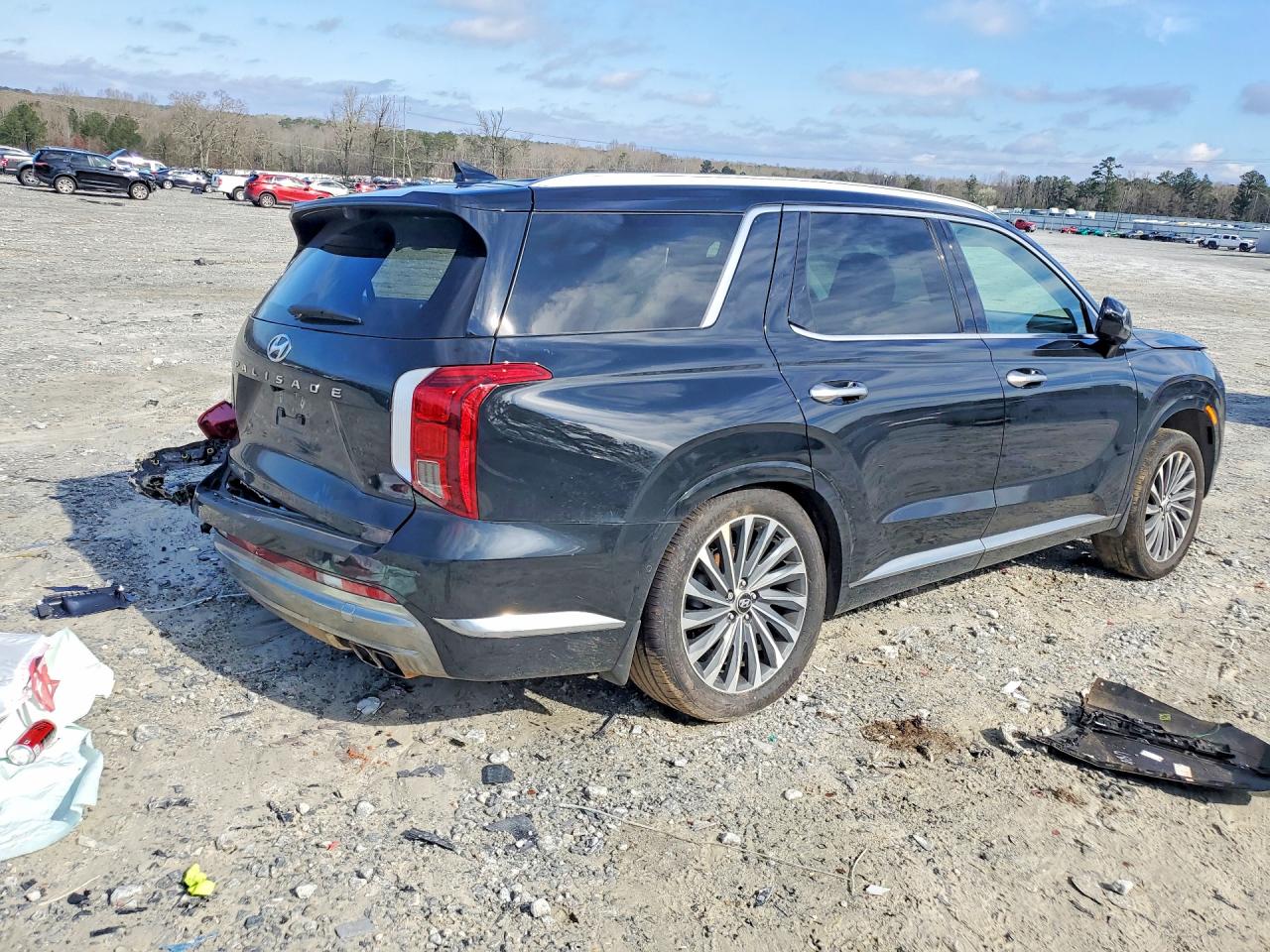 2024 HYUNDAI PALISADE CALLIGRAPHY photo 7