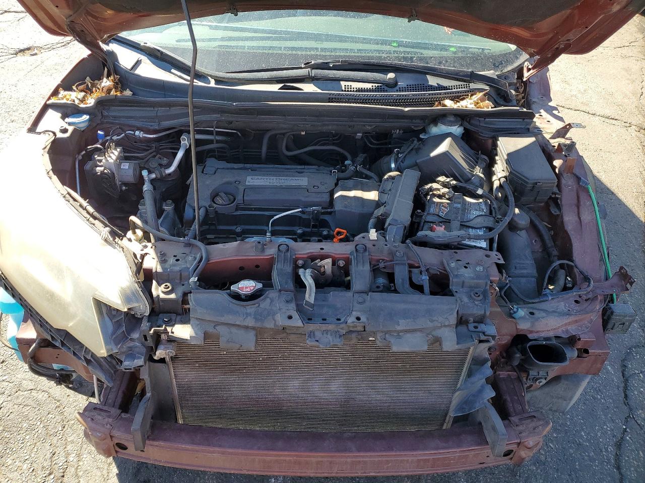 2015 HONDA CR-V LX photo 11