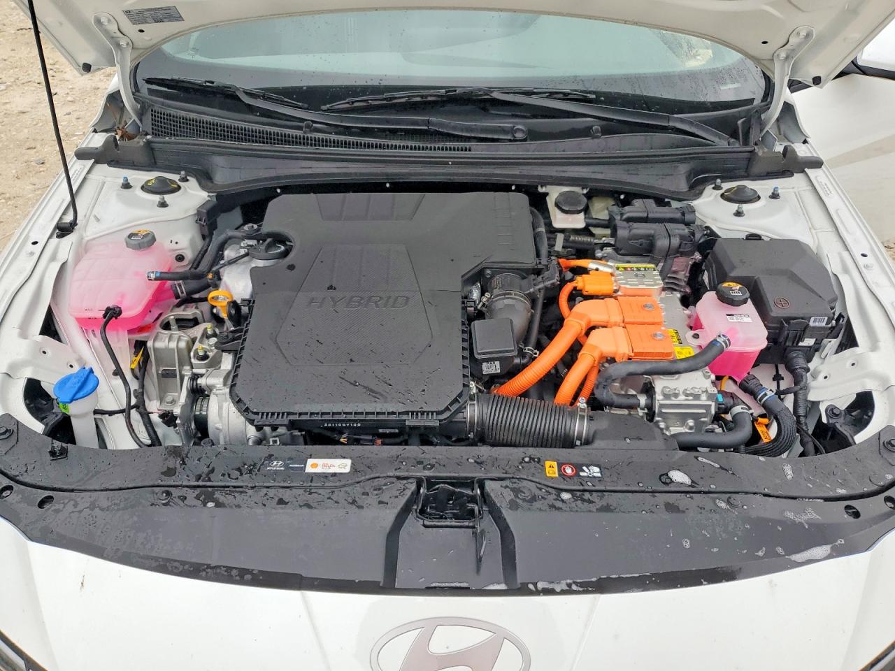 2025 HYUNDAI ELANTRA BLUE photo 11
