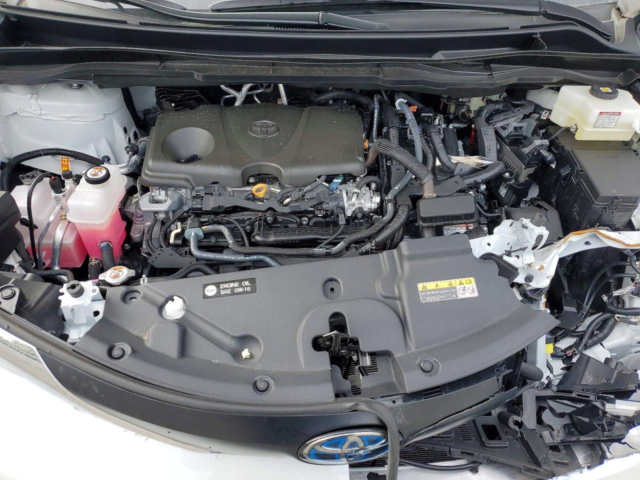 2025 TOYOTA SIENNA XLE 8-PASSENGER photo 11