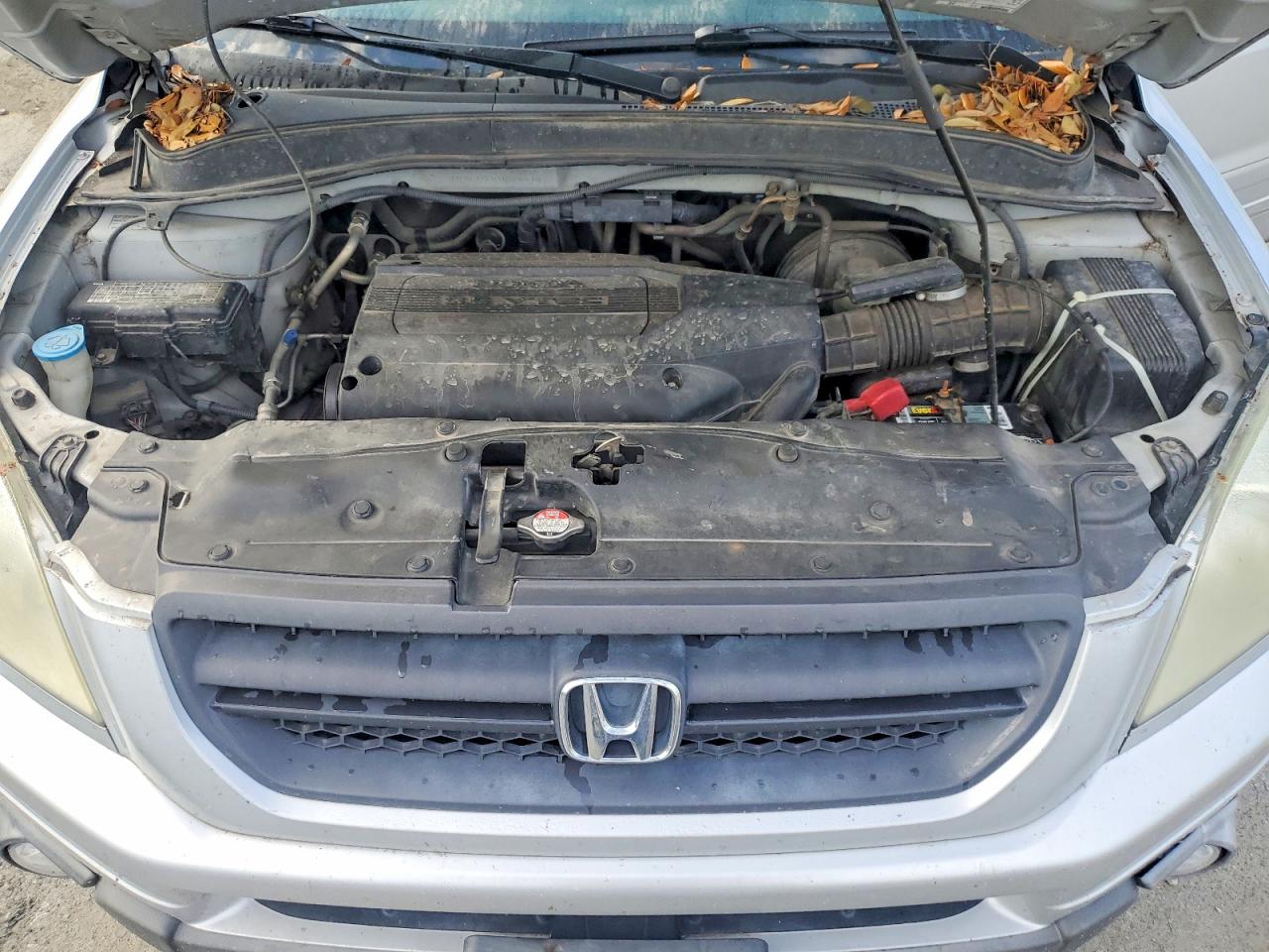 2004 HONDA PILOT EXL photo 12