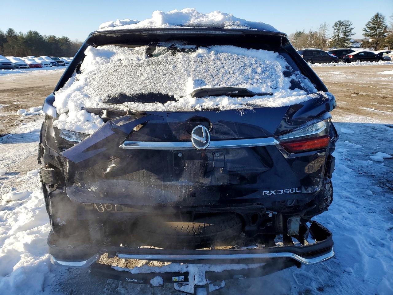 2018 LEXUS RX 350 L photo 6