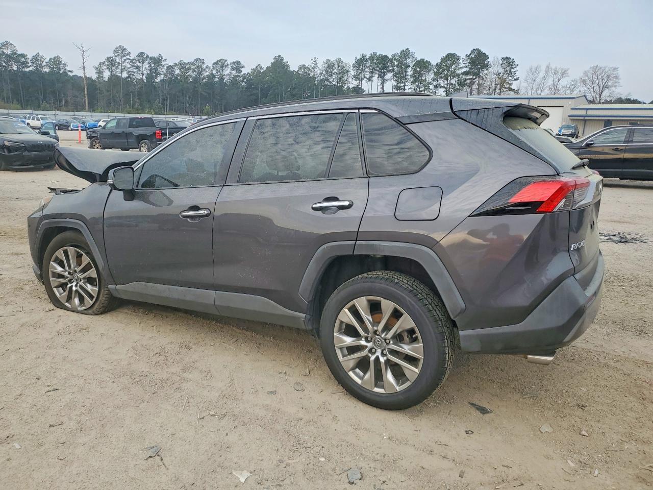 2019 TOYOTA RAV4 LIMITED photo 3