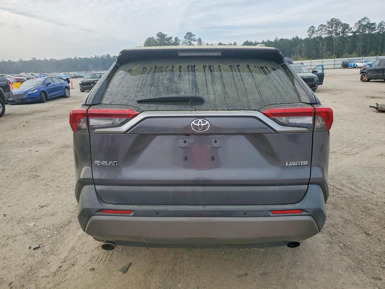 2019 TOYOTA RAV4 LIMITED photo 11