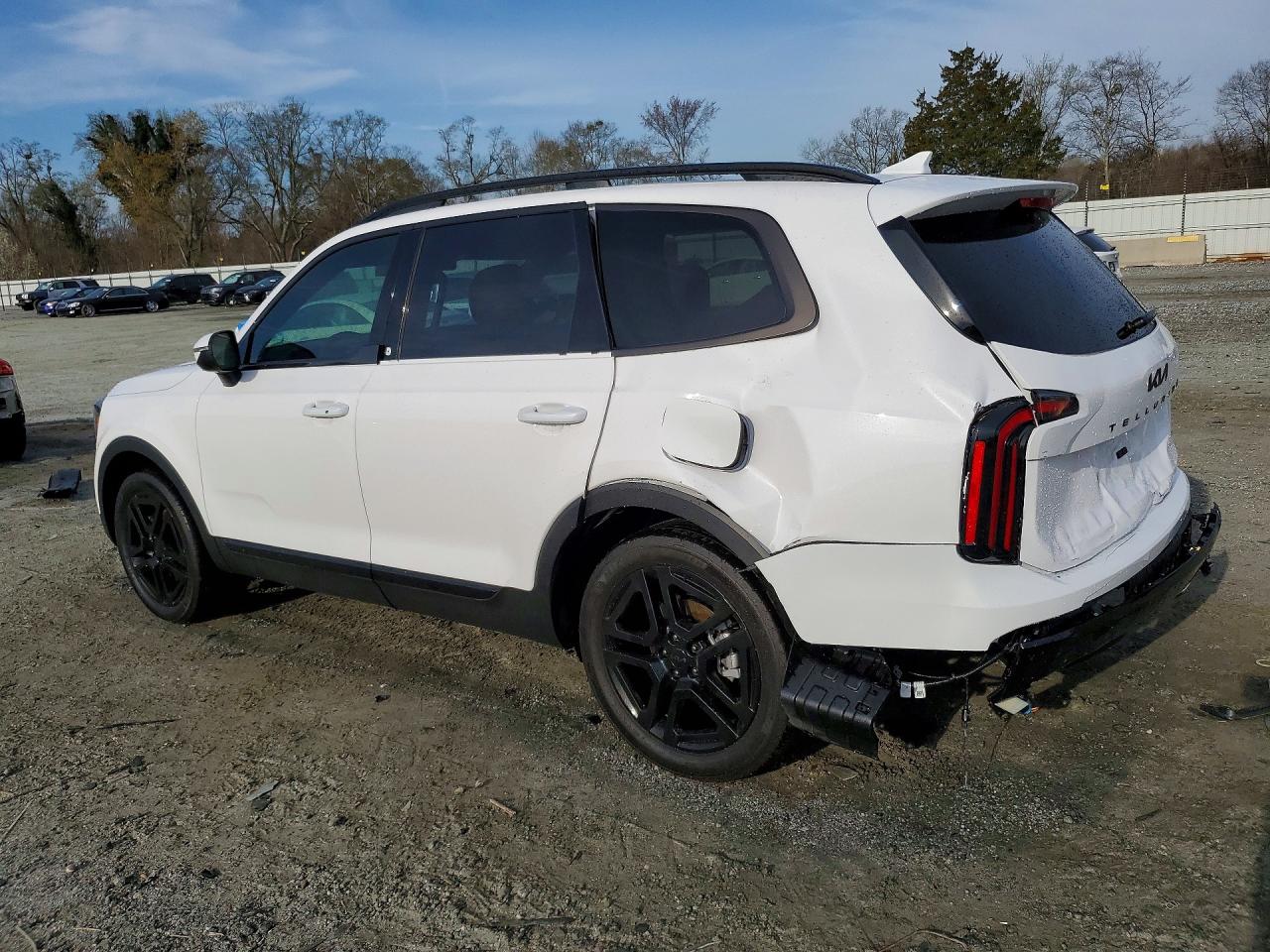 2025 KIA TELLURIDE EX X-LINE photo 3