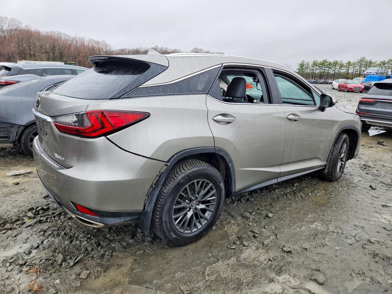 2020 LEXUS RX 350 photo 9