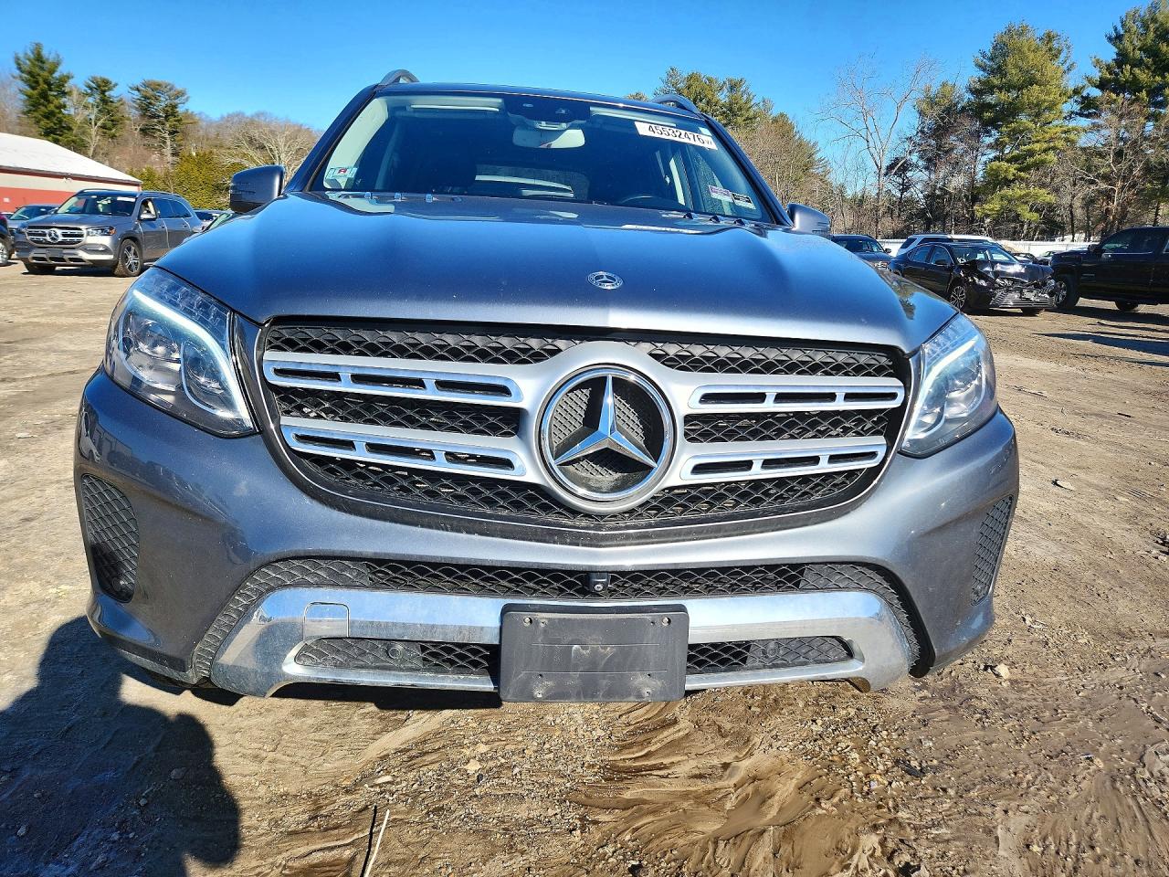 2019 MERCEDES-BENZ GLS 450 4MATIC photo 13