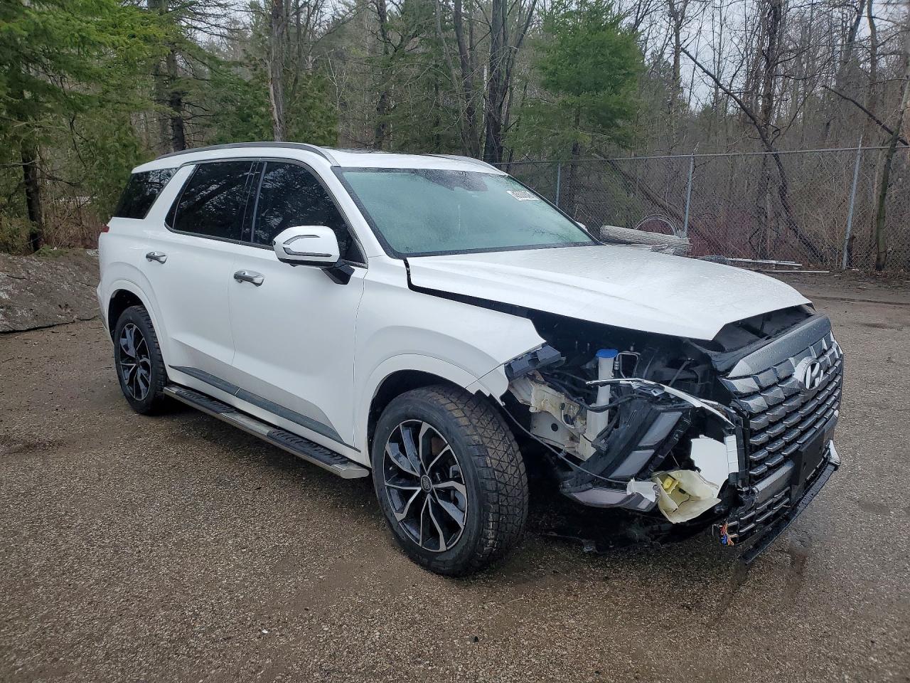 2024 HYUNDAI PALISADE LIMITED photo 7