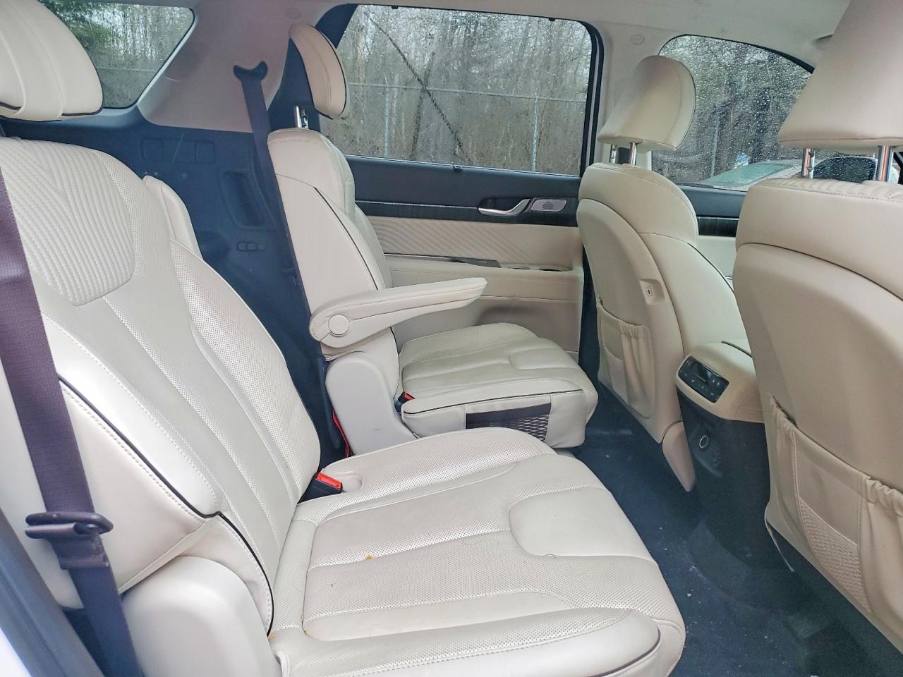 2024 HYUNDAI PALISADE LIMITED photo 21