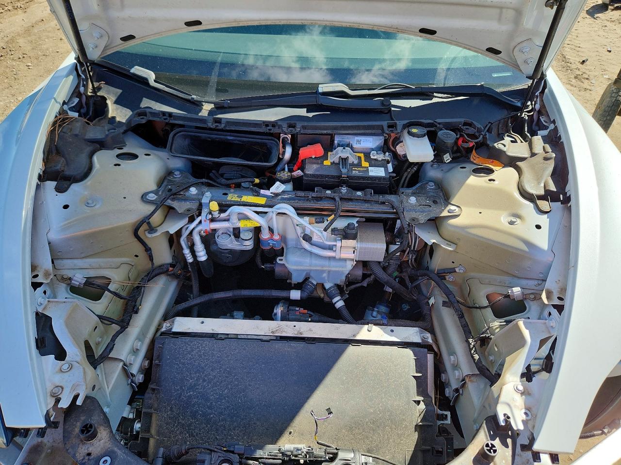 2019 TESLA MODEL 3 photo 21