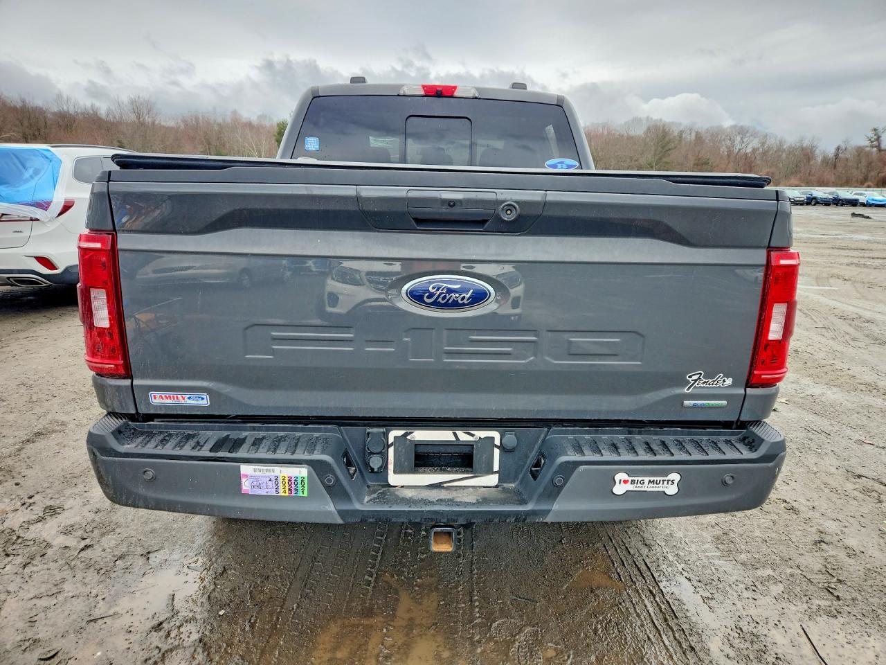 2021 FORD F150 SUPERCREW photo 6