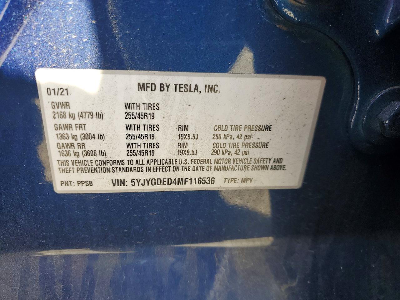 2021 TESLA MODEL Y photo 13