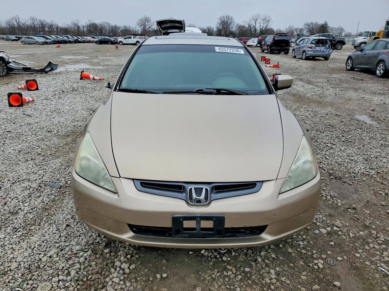 2004 HONDA ACCORD EX photo 5