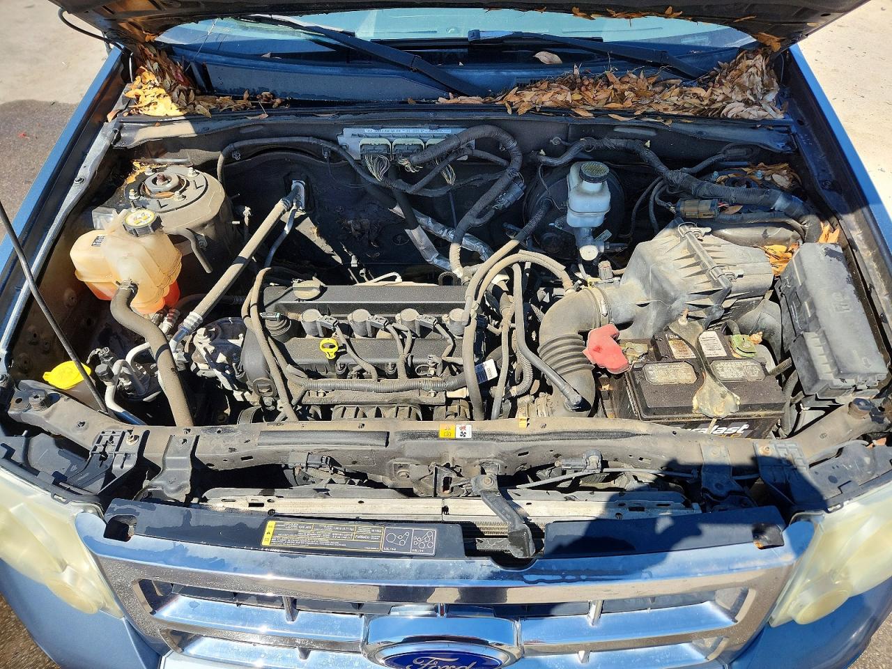 2011 FORD ESCAPE XLT photo 12