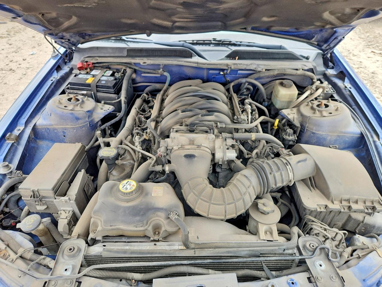 2006 FORD MUSTANG GT photo 11