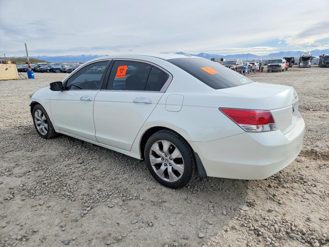 2008 HONDA ACCORD EXL photo 2