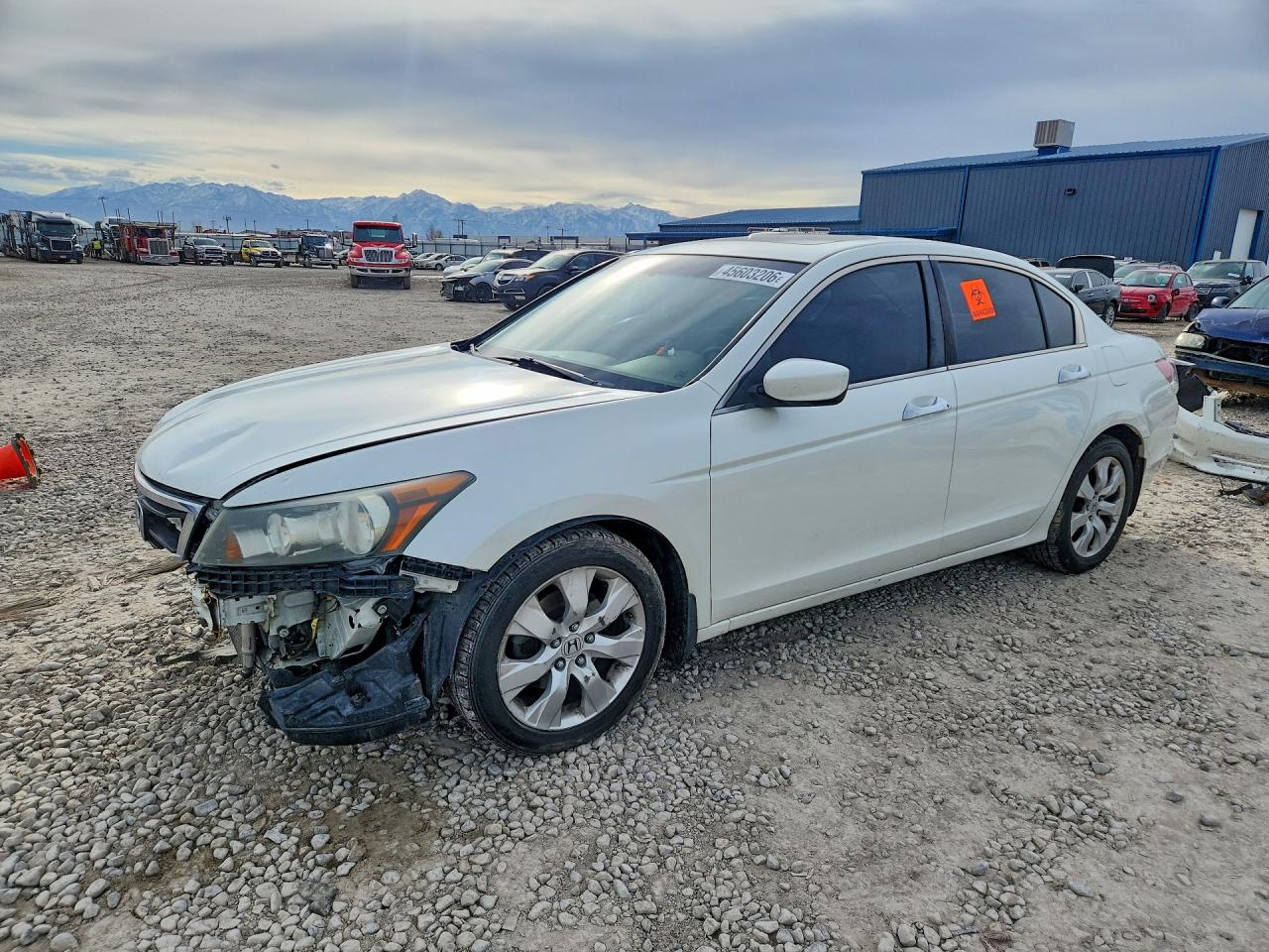 2008 HONDA ACCORD