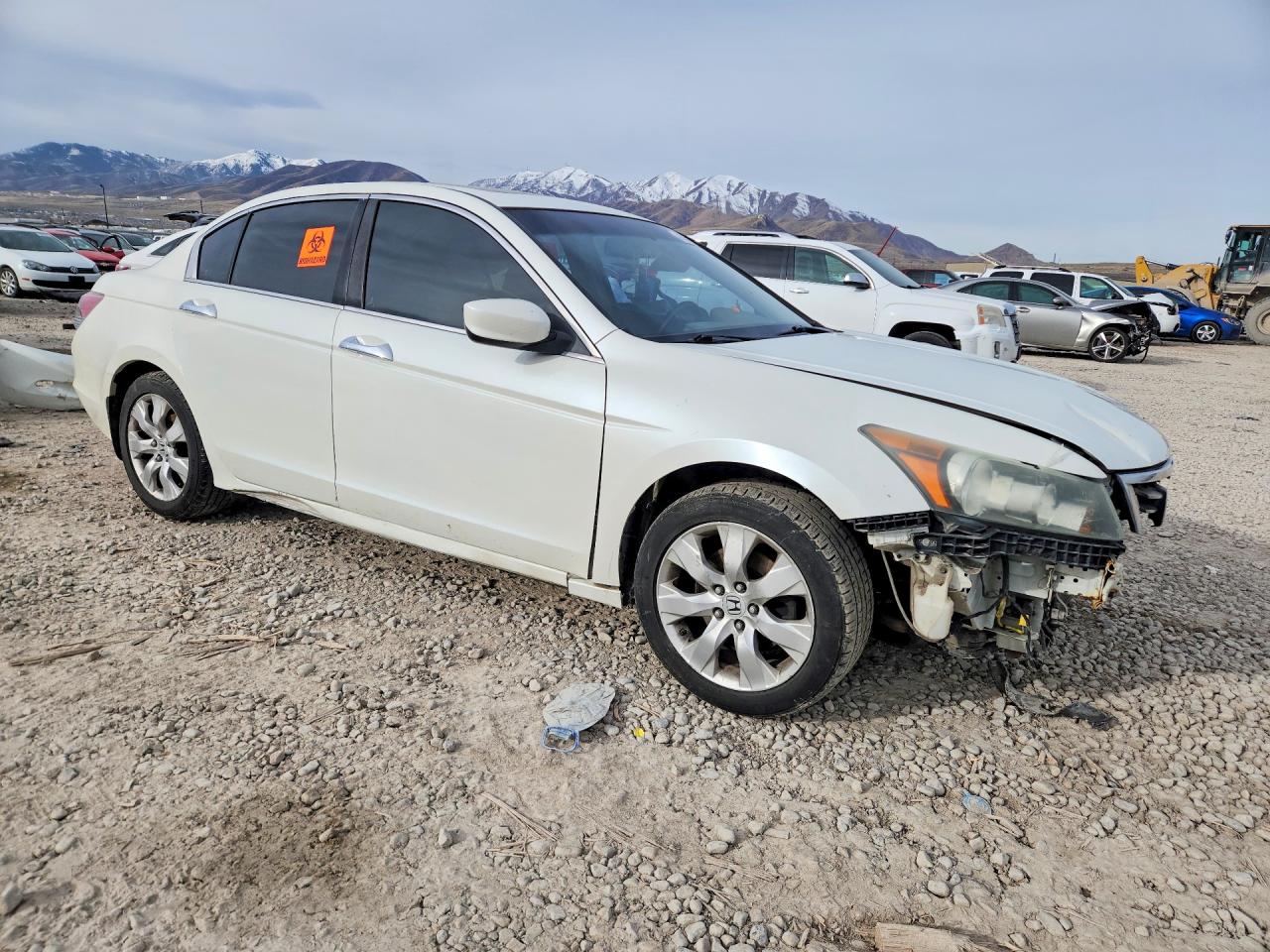 2008 HONDA ACCORD EXL photo 4
