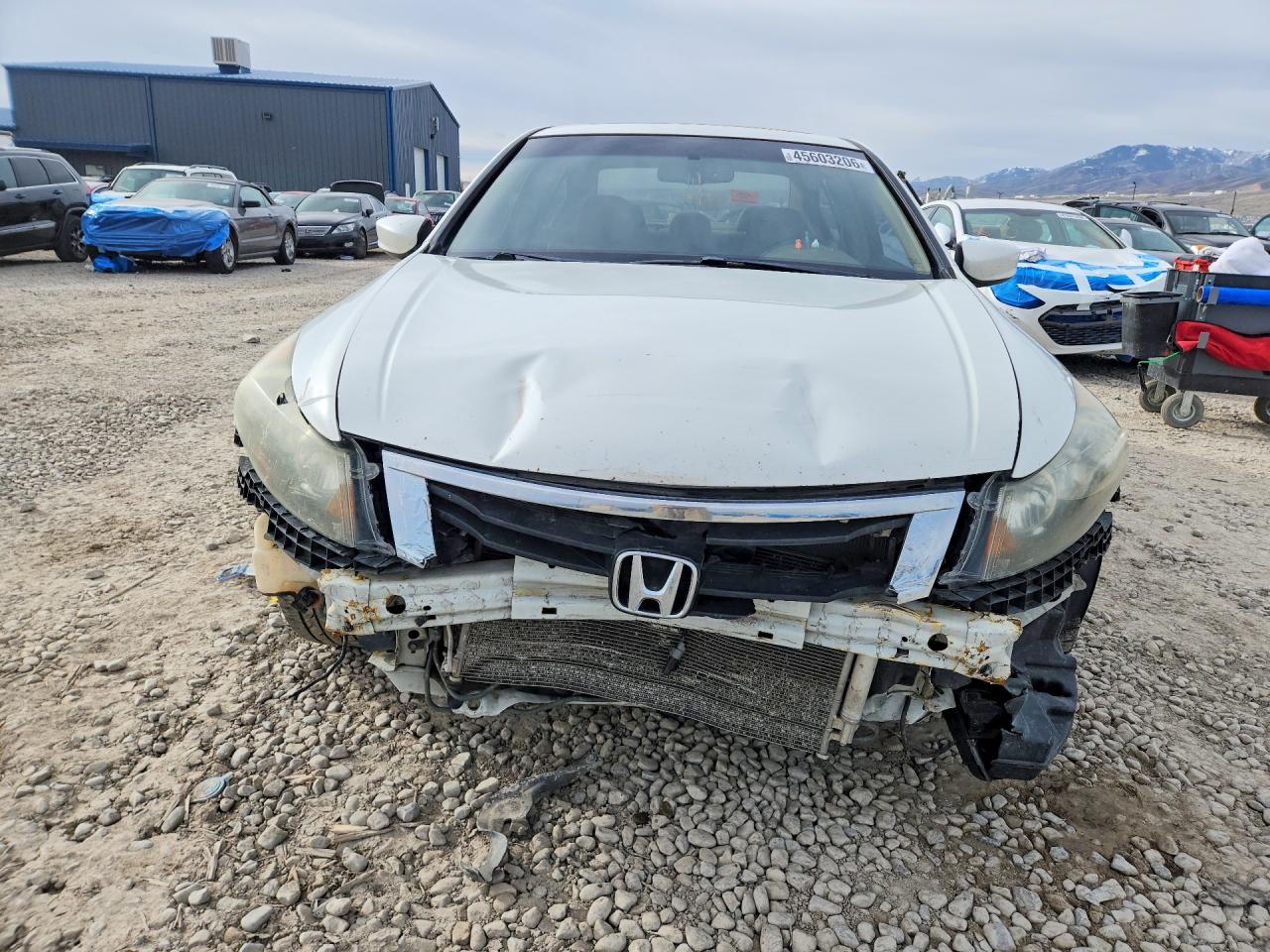2008 HONDA ACCORD EXL photo 5