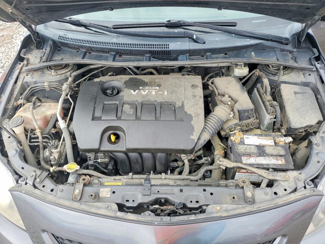 2010 TOYOTA COROLLA S photo 11