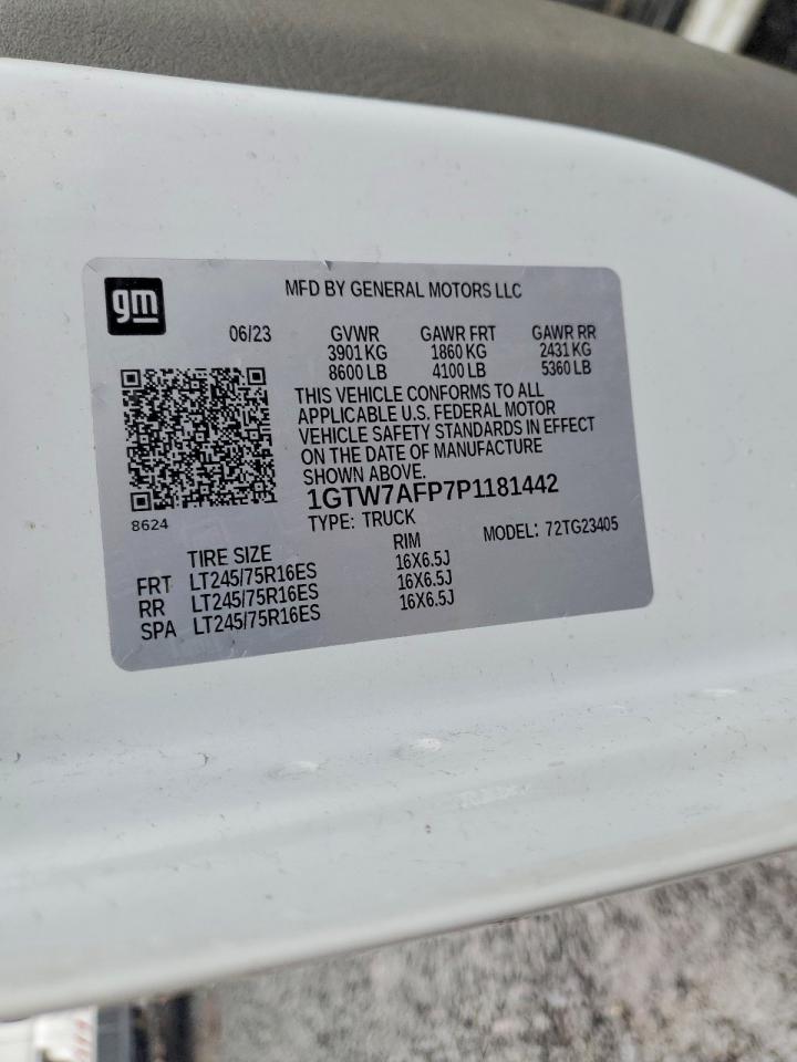 2023 GMC SAVANA G2500 photo 13