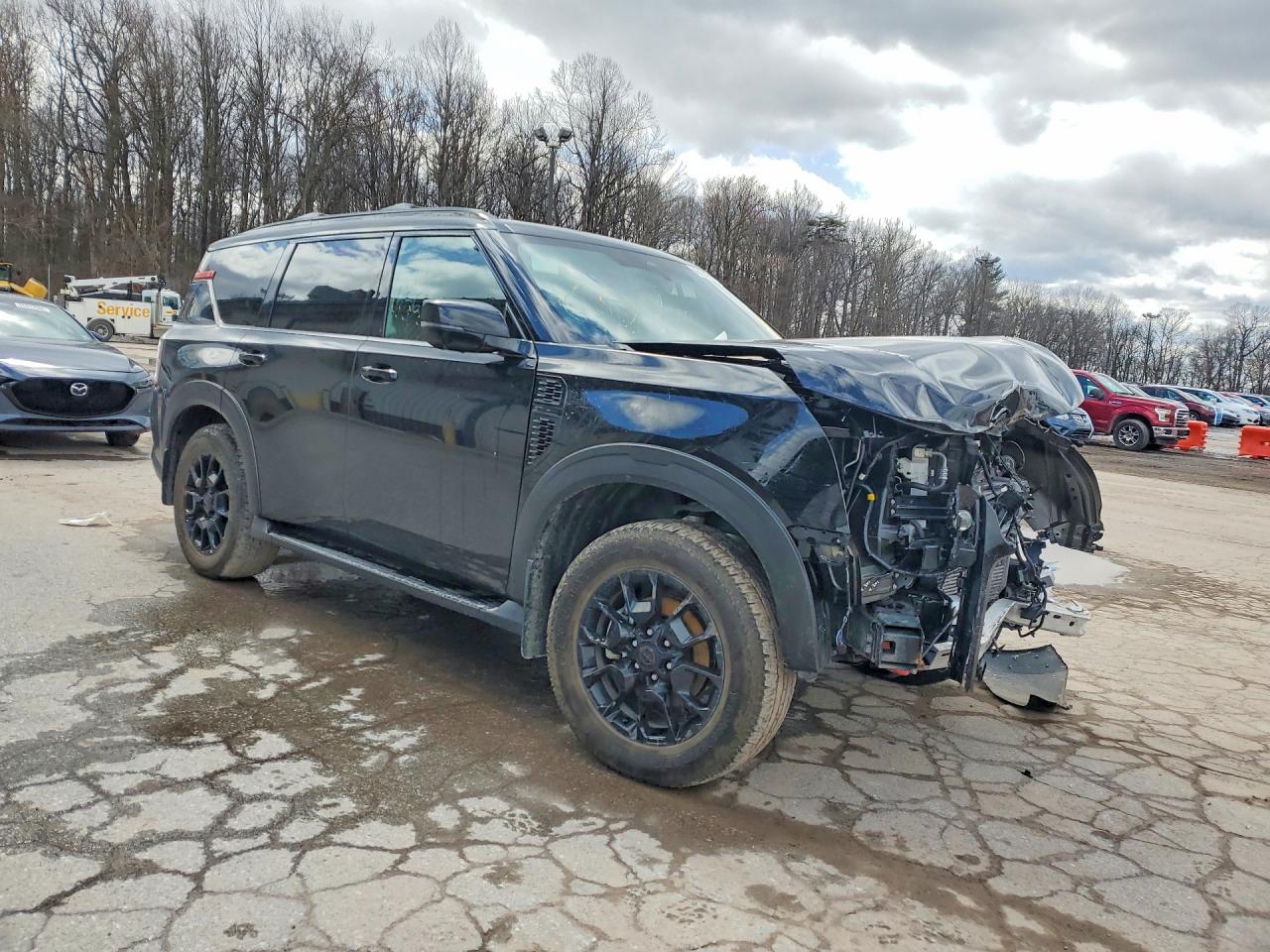 2025 NISSAN ARMADA PRO-4X photo 10