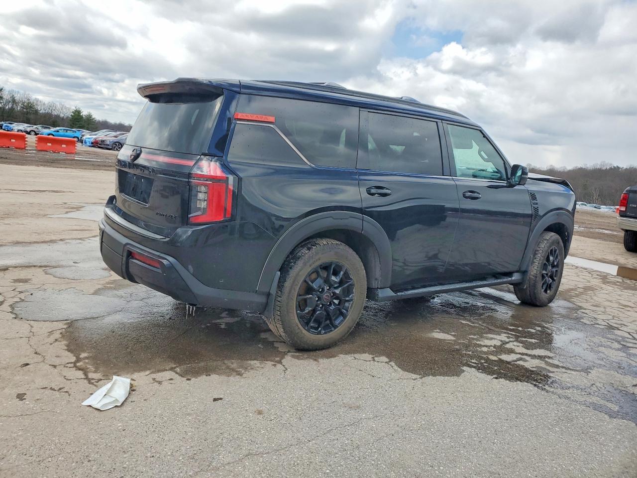 2025 NISSAN ARMADA PRO-4X photo 7