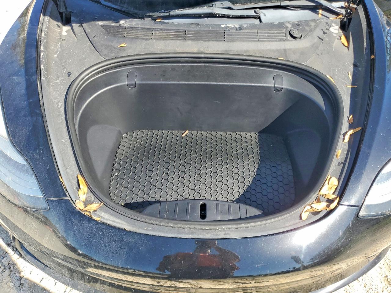 2019 TESLA MODEL 3 photo 11