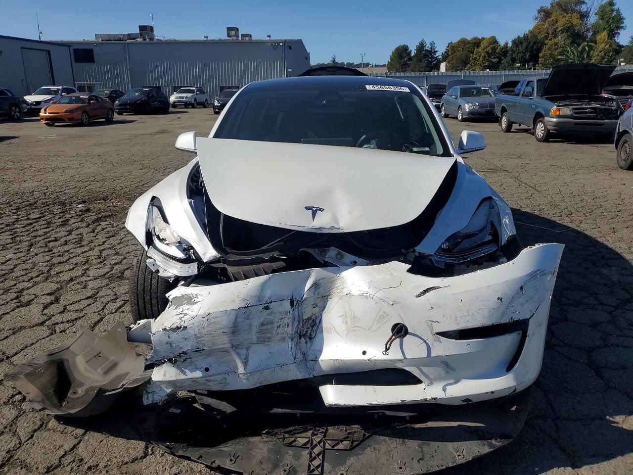 2019 TESLA MODEL 3 photo 13