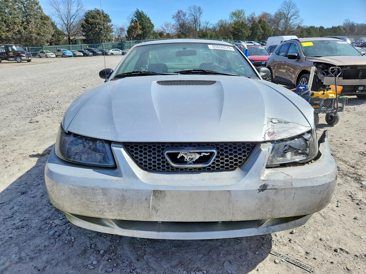 2001 FORD MUSTANG photo 5