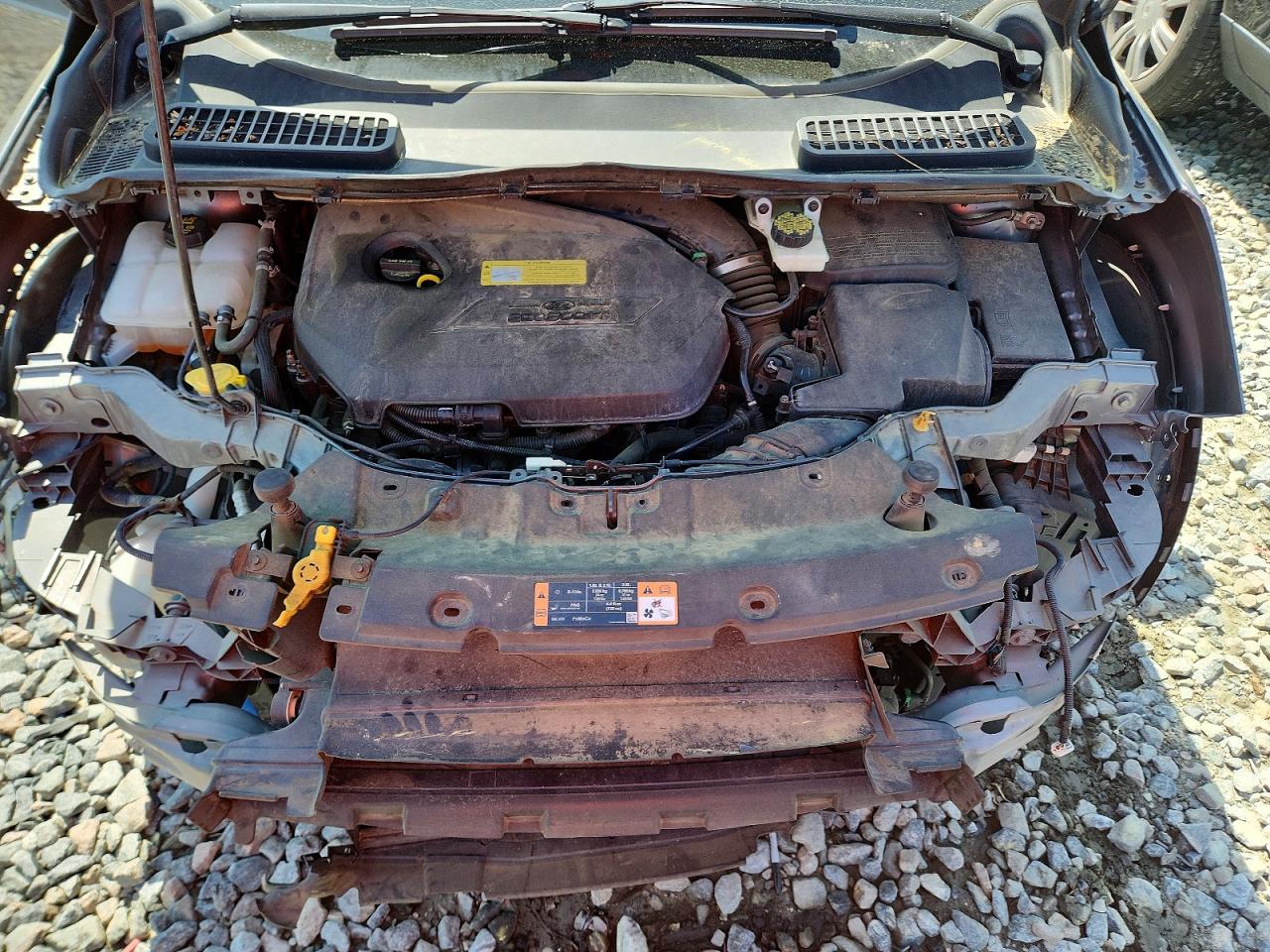 2014 FORD ESCAPE SE photo 12