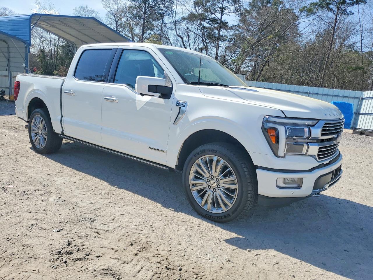 2024 FORD F150 PLATINUM photo 4