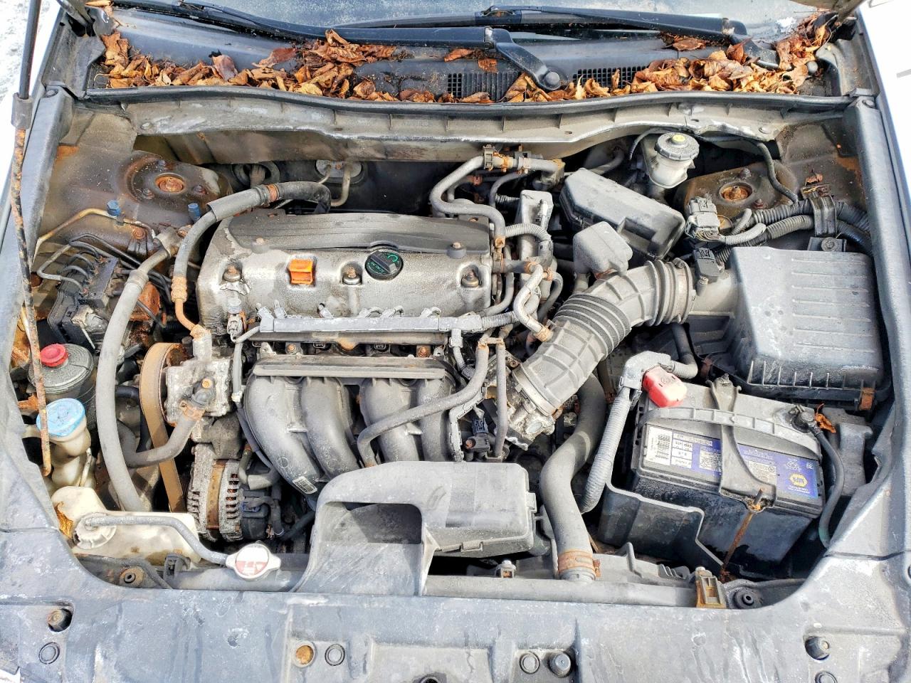 2010 HONDA ACCORD LX photo 11
