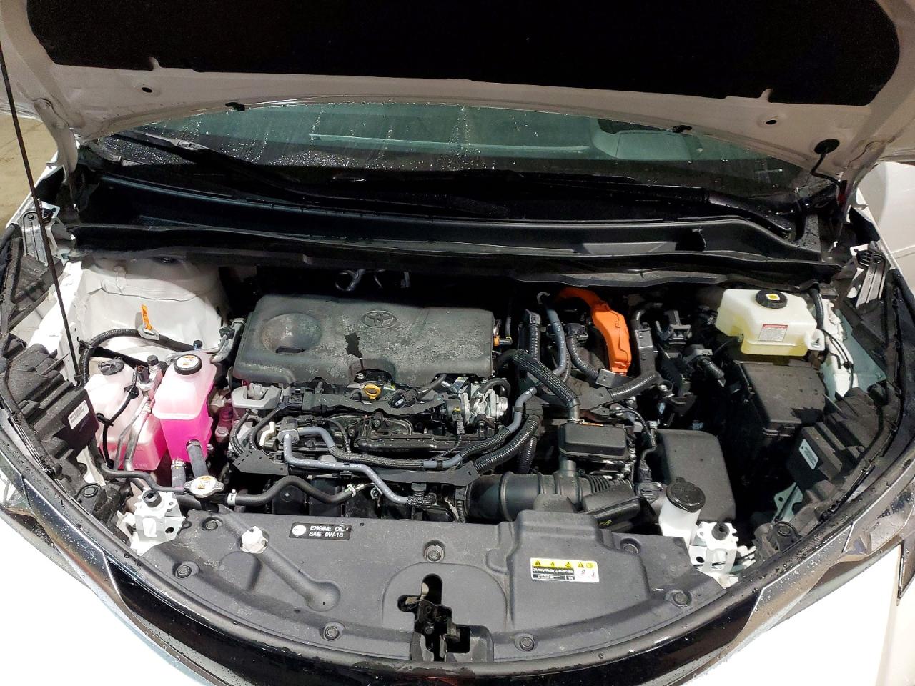 2025 TOYOTA SIENNA PLATINUM 7-PASSENGER photo 23