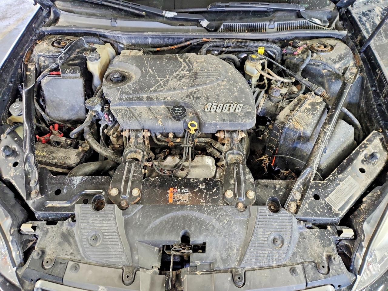 2007 CHEVROLET IMPALA LT photo 11