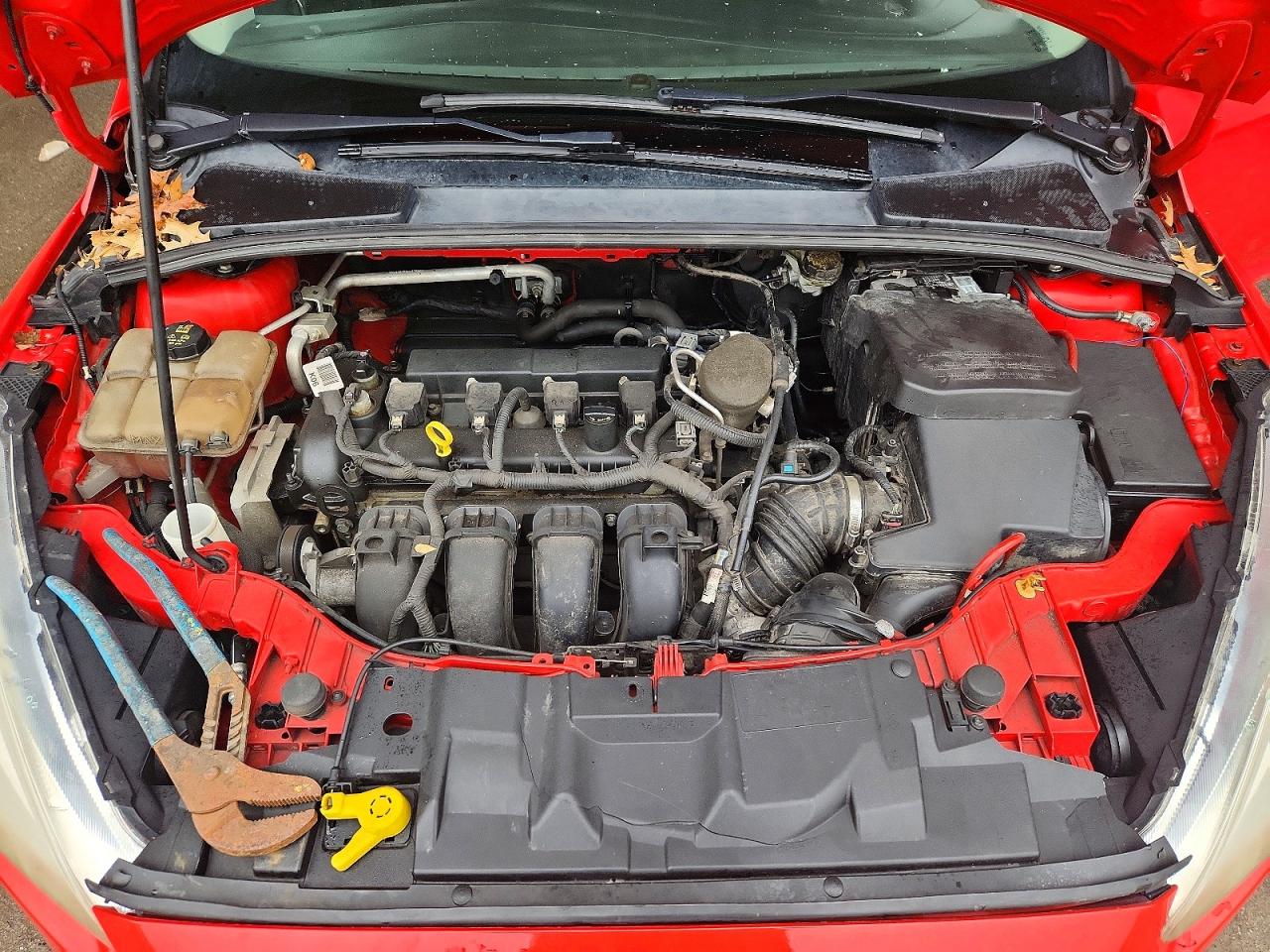 2015 FORD FOCUS SE photo 21