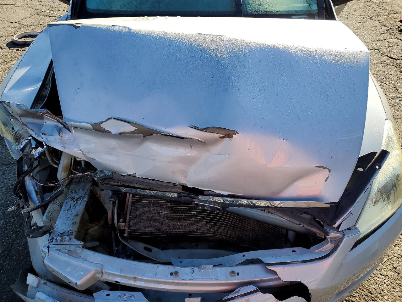 2006 HONDA ACCORD SE photo 11