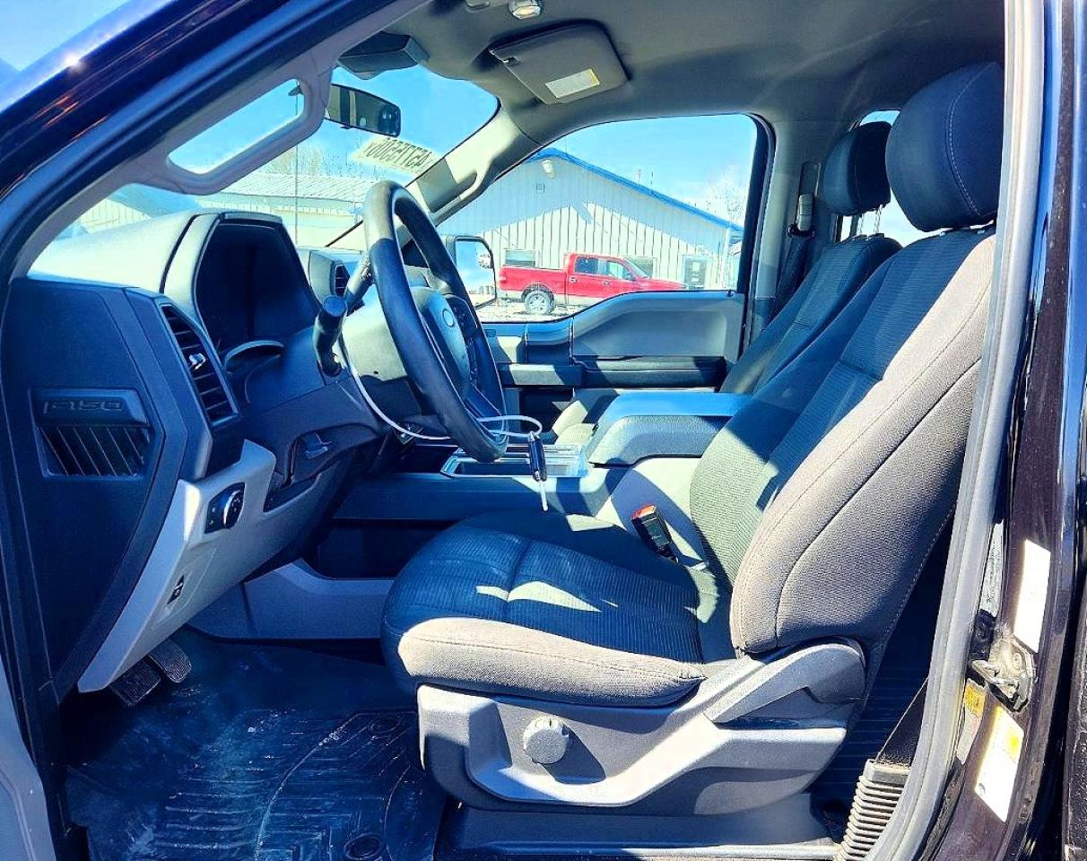 2019 FORD F150 photo 13