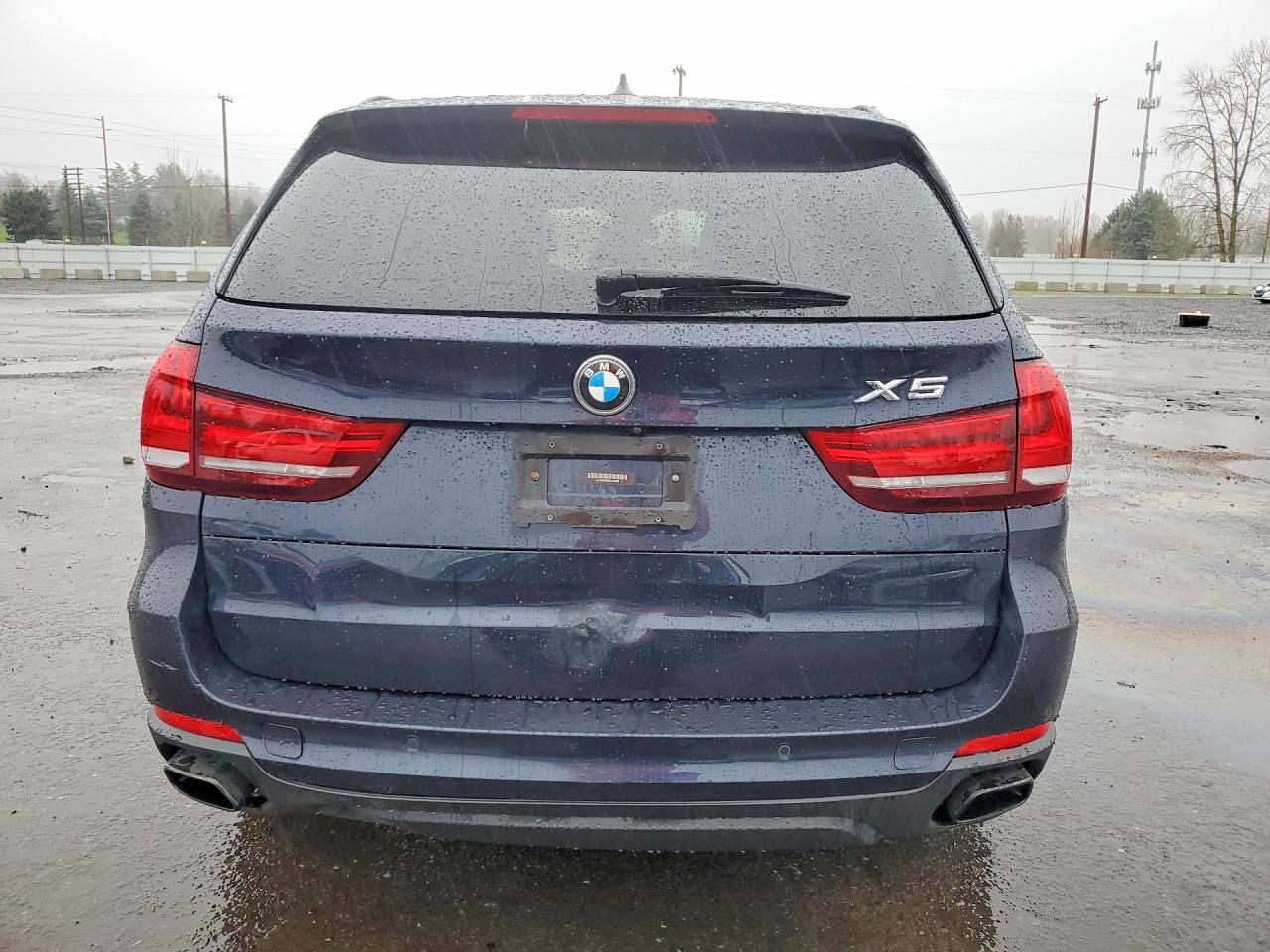 2015 BMW X5 XDRIVE50I photo 6