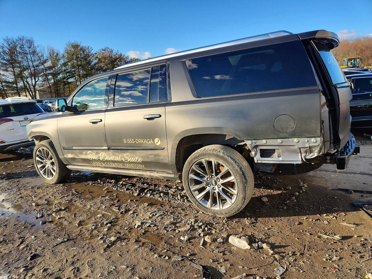 2019 CADILLAC ESCALADE ESV PREMIUM LUXURY photo 3