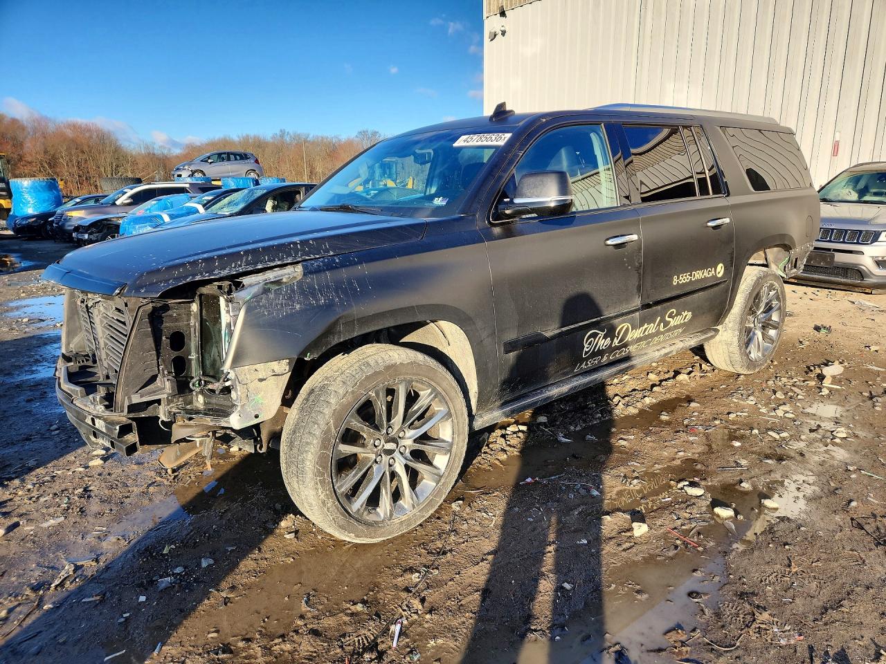 2019 CADILLAC ESCALADE ESV PREMIUM LUXURY photo 2