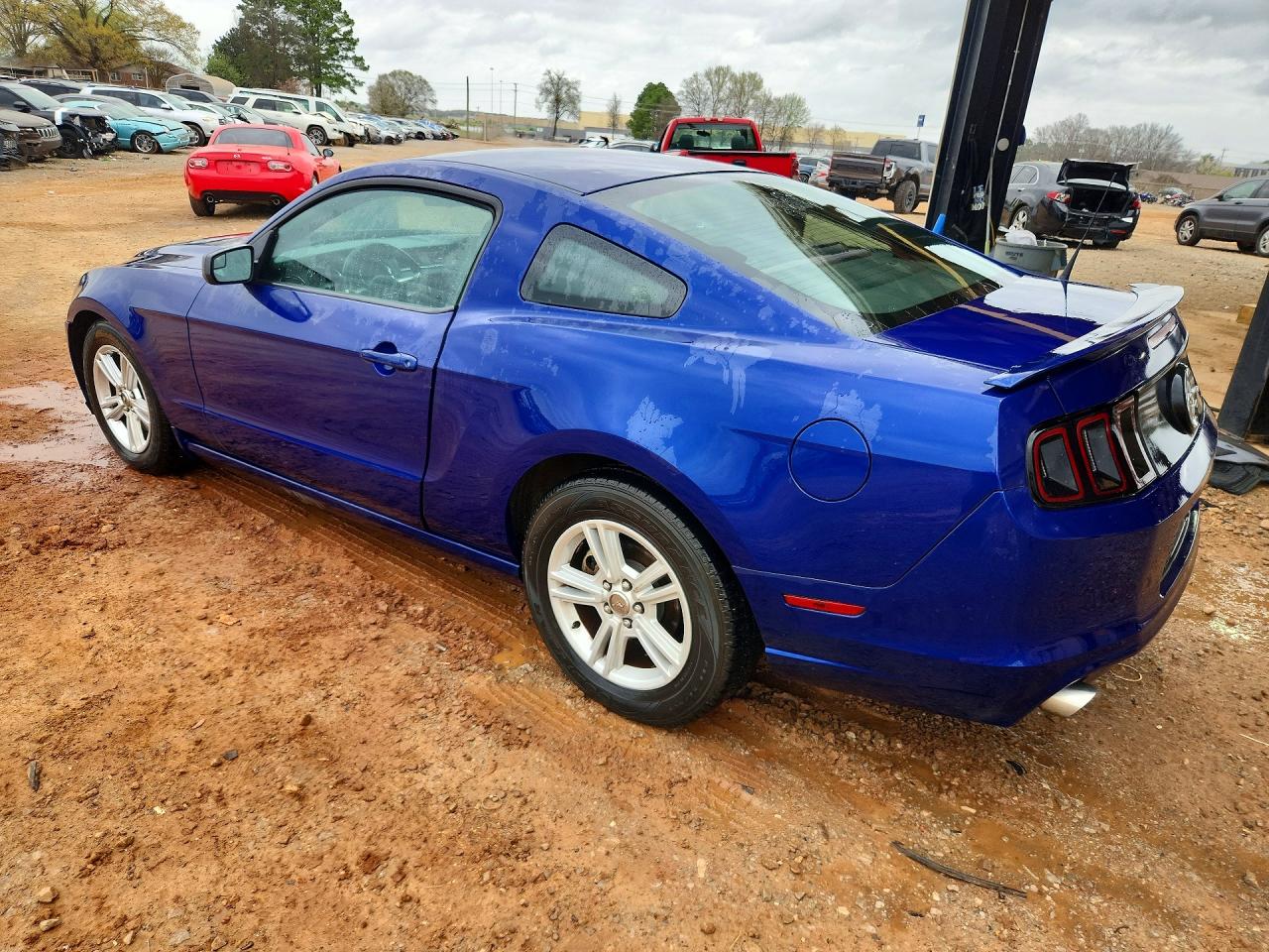 2013 FORD MUSTANG photo 3