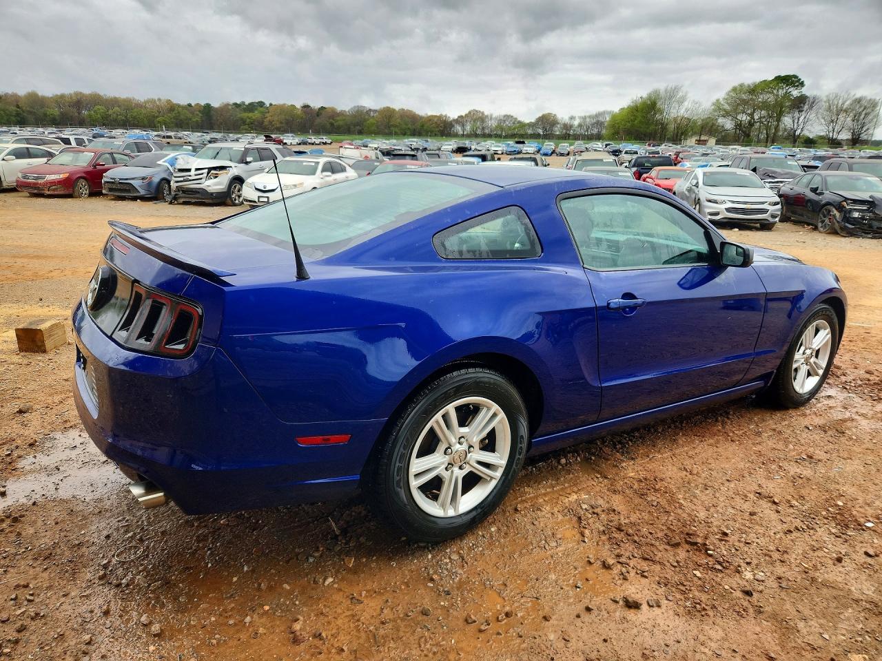 2013 FORD MUSTANG photo 5