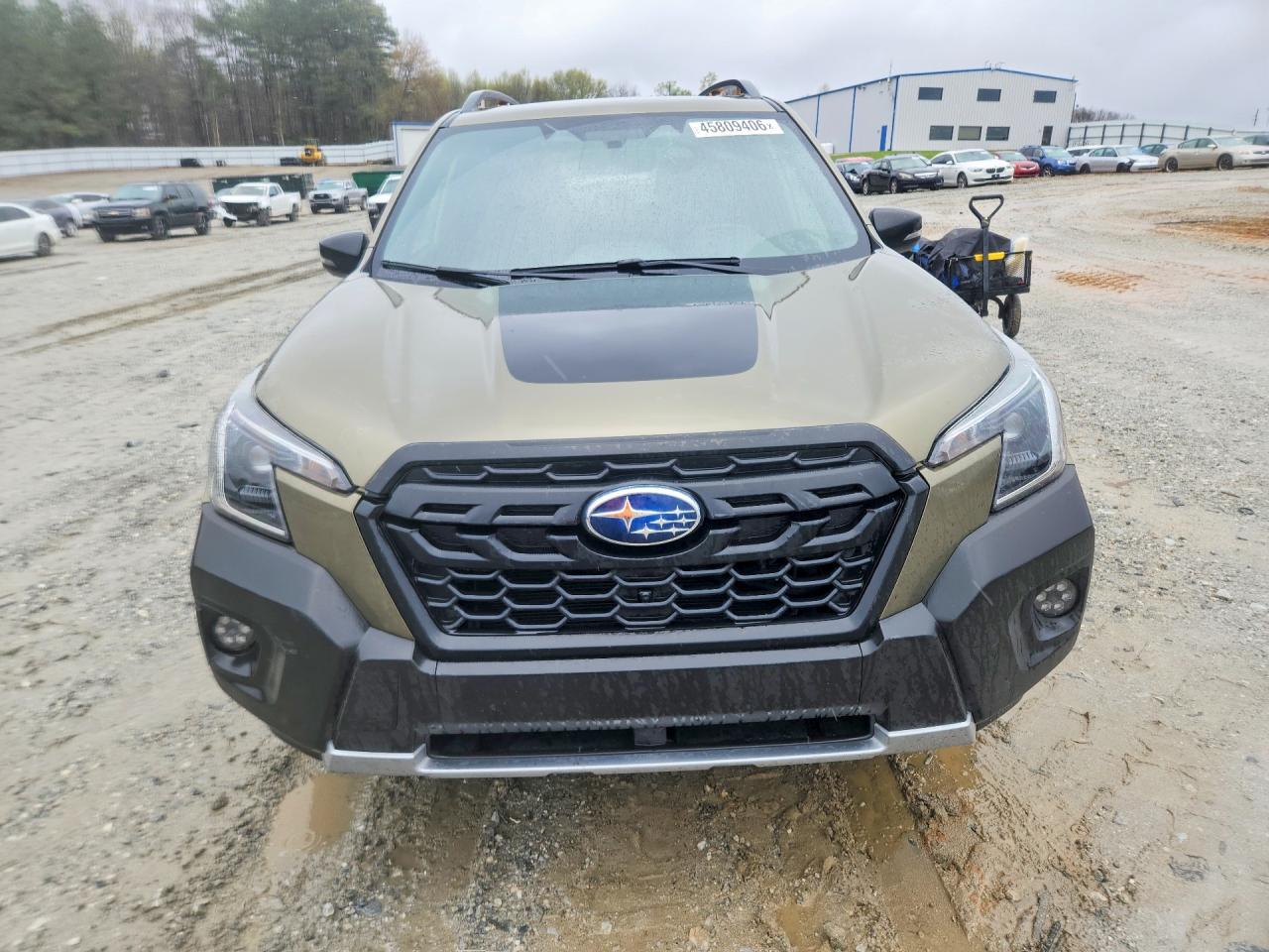 2024 SUBARU FORESTER WILDERNESS photo 5
