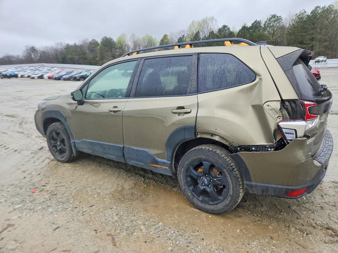 2024 SUBARU FORESTER WILDERNESS photo 2