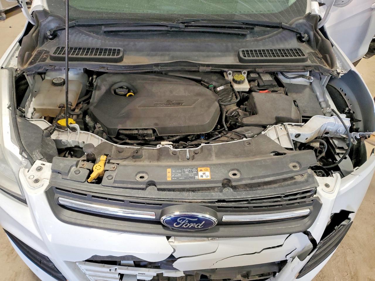 2014 FORD ESCAPE SE photo 12