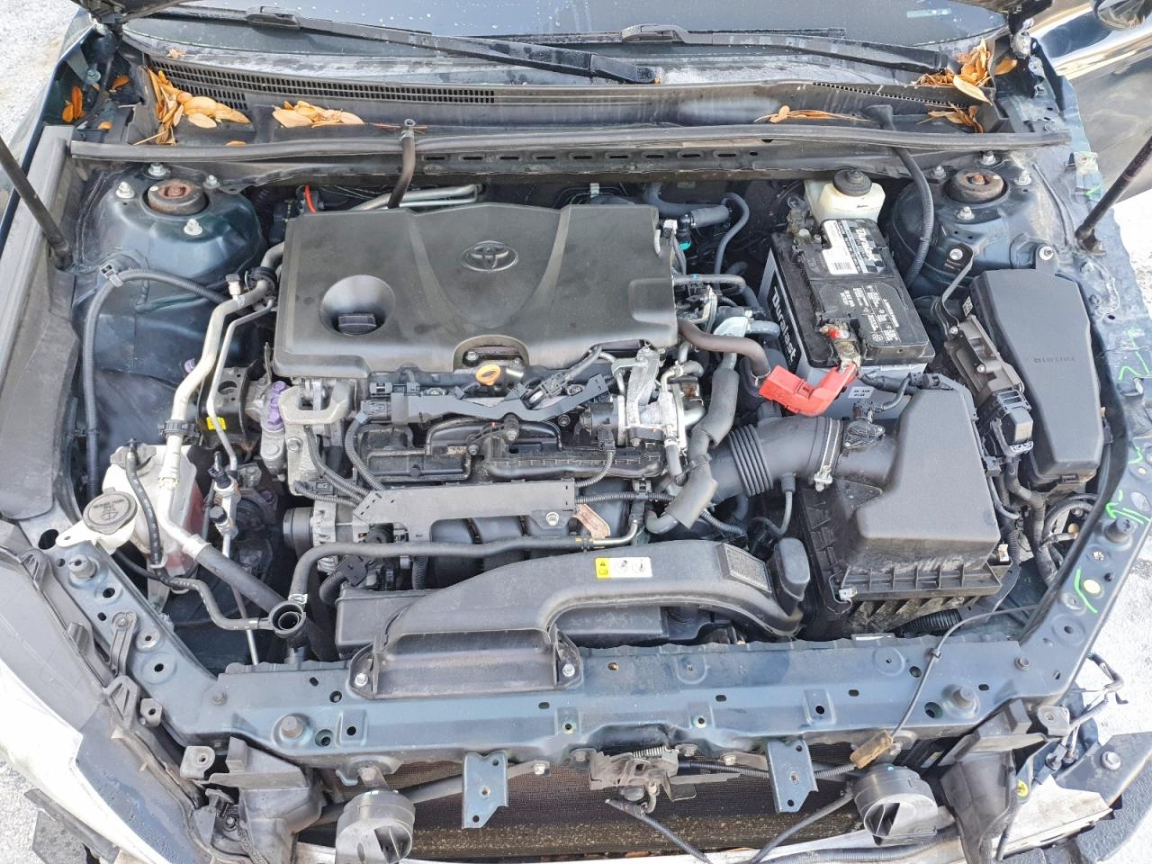 2019 TOYOTA CAMRY LE photo 11